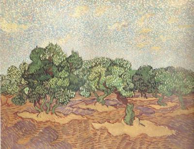 Olive Grove:Pale Blue Sky (nn04), Vincent Van Gogh